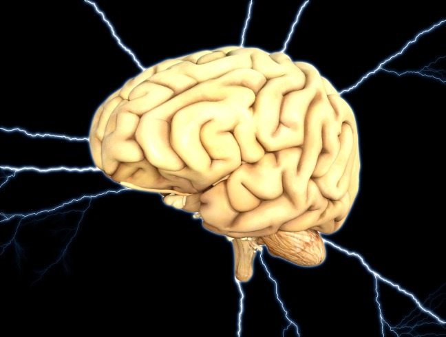 My brain trimming unused math neurons